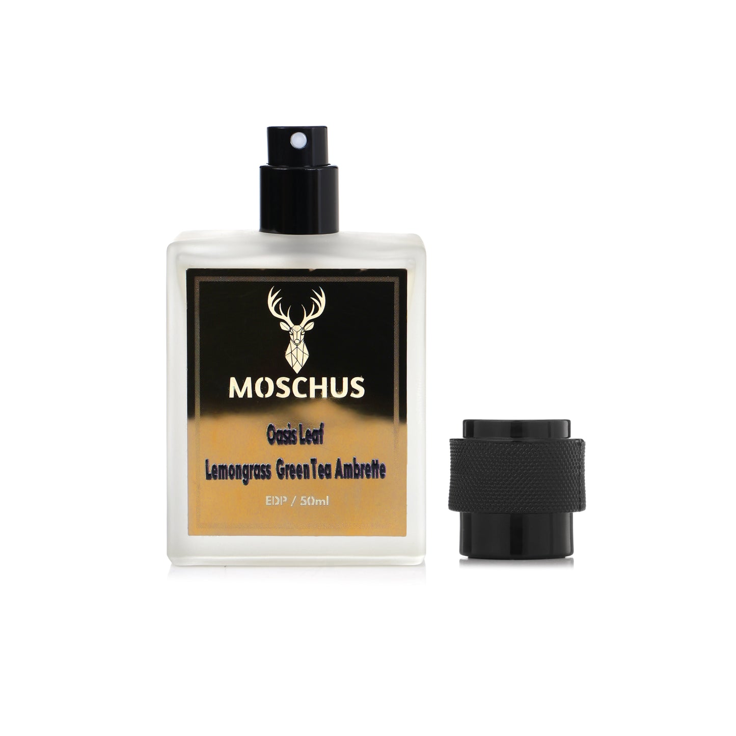 MOSCHUS Oasis Leaf Eau de Parfum – 50ml | Fresh Citrus Green Unisex Perfume | Long Lasting