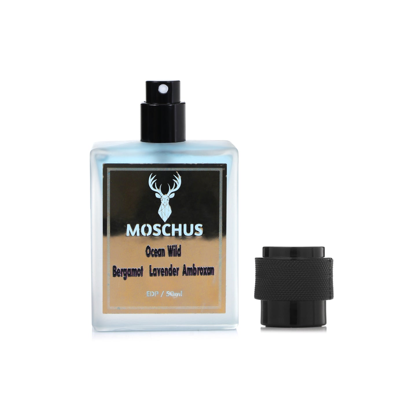 Moschus Ocean Wild Eau de Parfum for Men | Fresh Citrus Fragrance