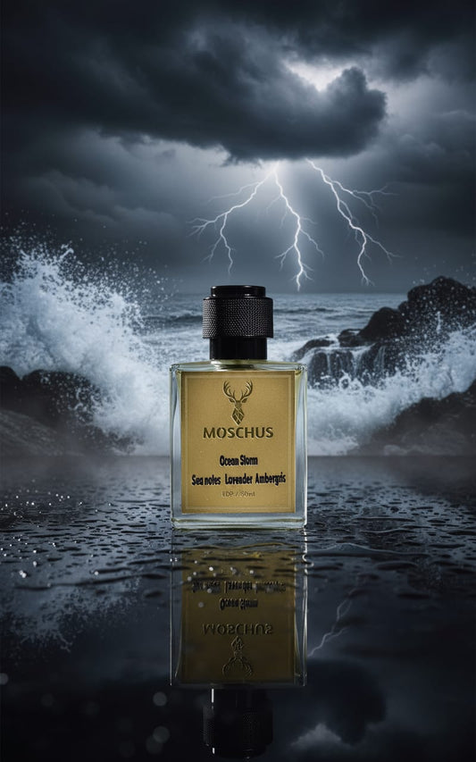 MOSCHUS Ocean Storm Eau de Parfum – Fresh Aquatic Woody Perfume for Men | Long-Lasting Everyday Fragrance