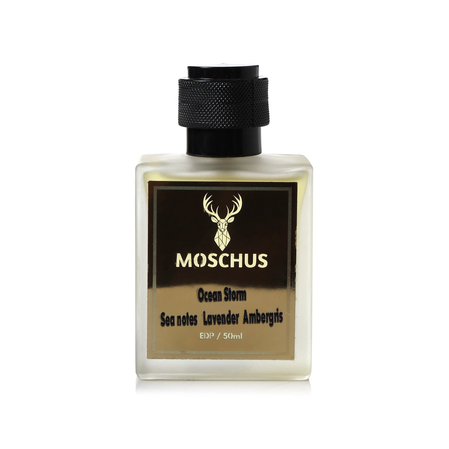 MOSCHUS Ocean Storm Eau de Parfum – Fresh Aquatic Woody Perfume for Men | Long-Lasting Everyday Fragrance