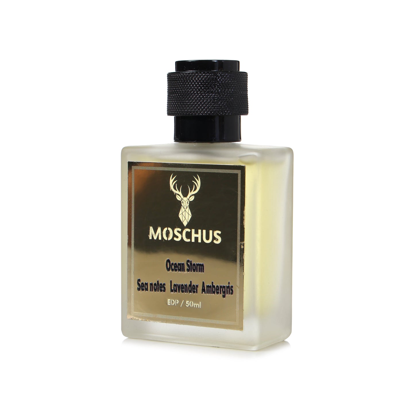 MOSCHUS Ocean Storm Eau de Parfum – Fresh Aquatic Woody Perfume for Men | Long-Lasting Everyday Fragrance