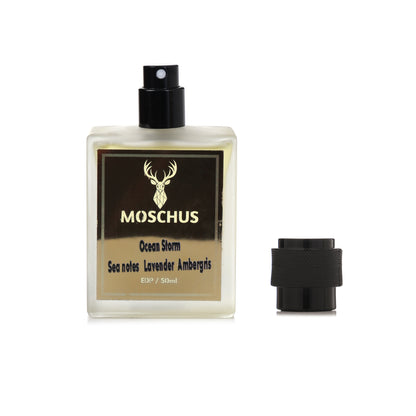 MOSCHUS Ocean Storm Eau de Parfum – Fresh Aquatic Woody Perfume for Men | Long-Lasting Everyday Fragrance