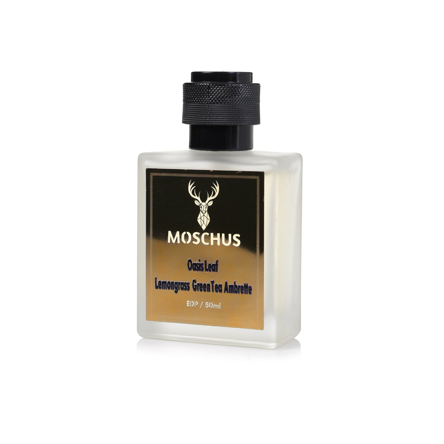 MOSCHUS Oasis Leaf Eau de Parfum – 50ml | Fresh Citrus Green Unisex Perfume | Long Lasting