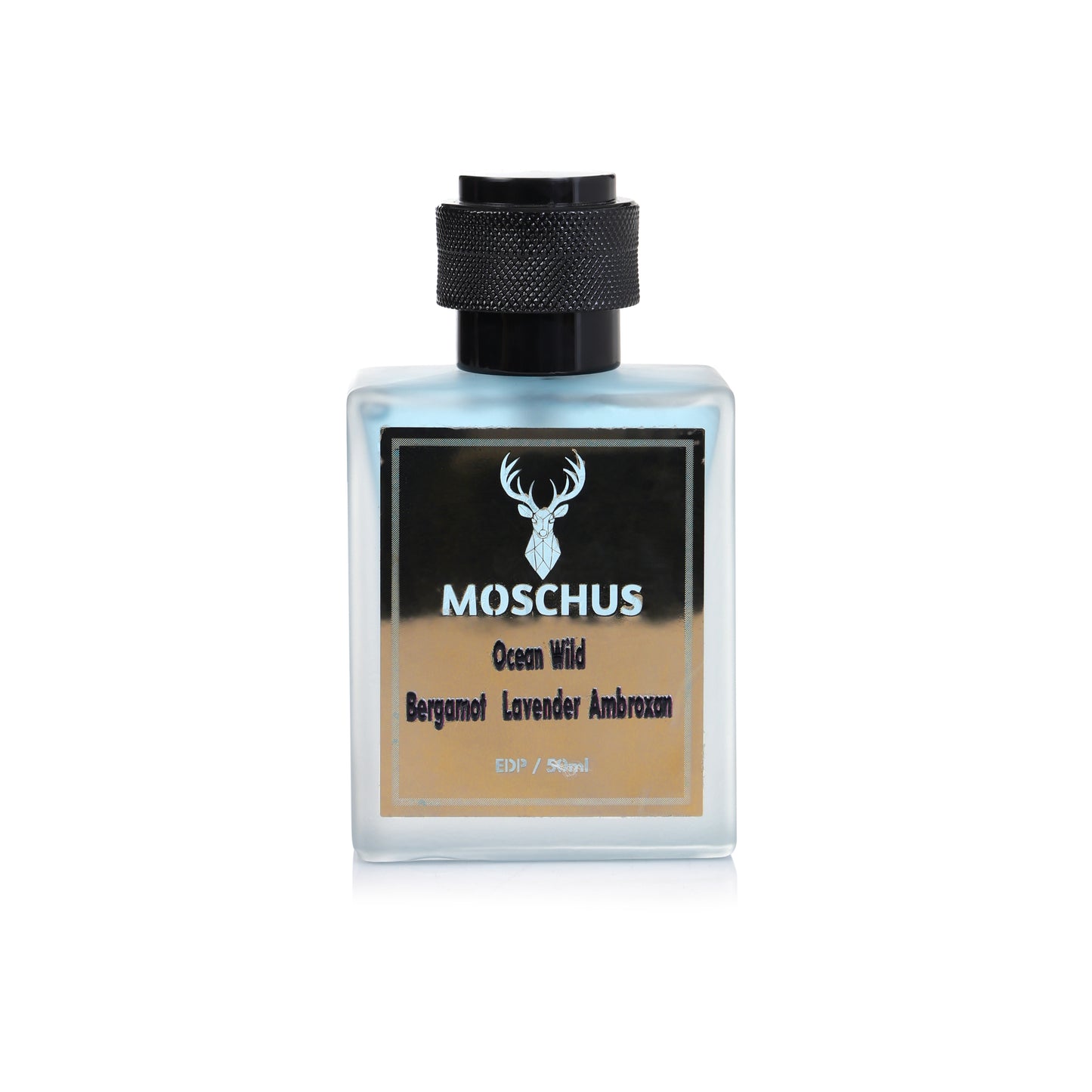 Moschus Ocean Wild Eau de Parfum for Men | Fresh Citrus Fragrance