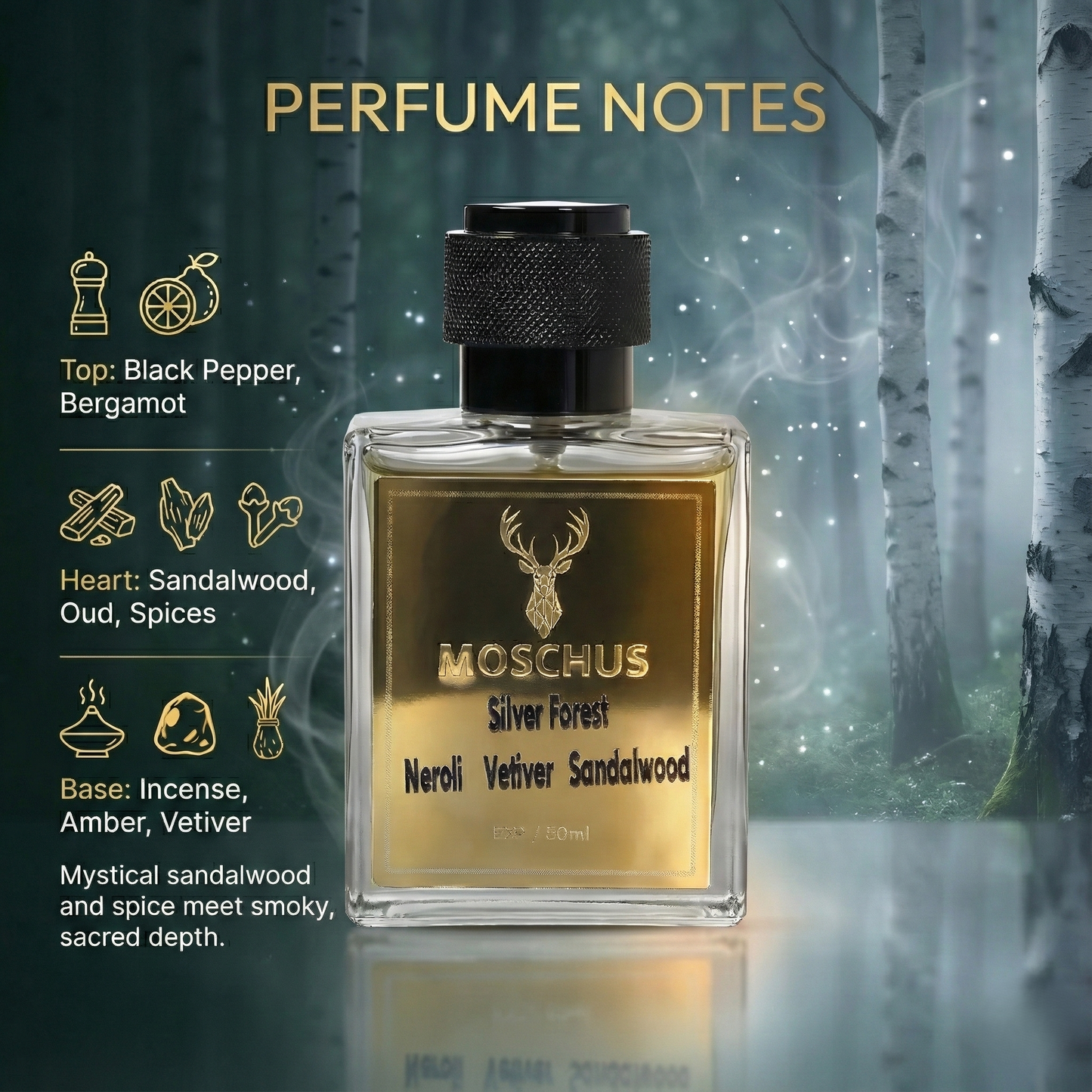 MOSCHUS Silver Forest Eau de Parfum - Woody Aromatic Luxury Perfume for Men
