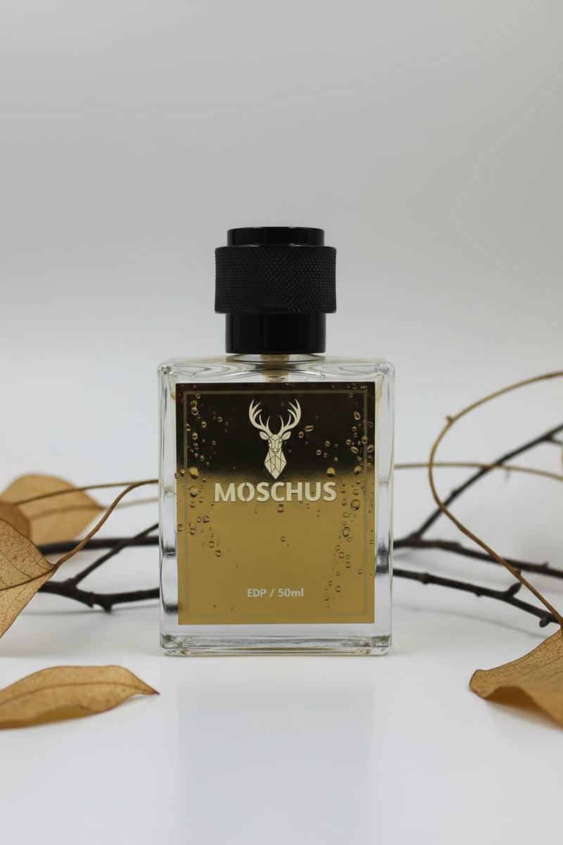 MOSCHUS Silver Forest Eau de Parfum - Woody Aromatic Luxury Perfume for Men